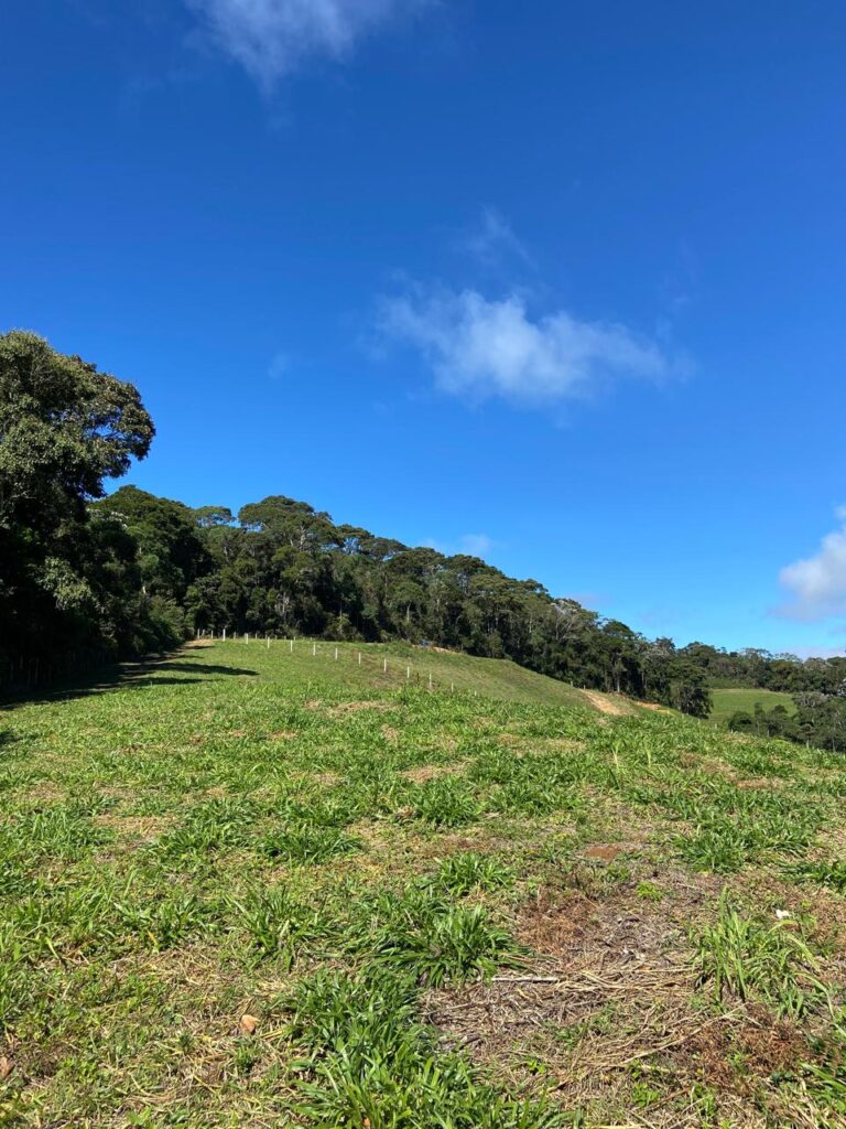 WhatsApp Image 2025-07-05 at 17.13.11 (2)