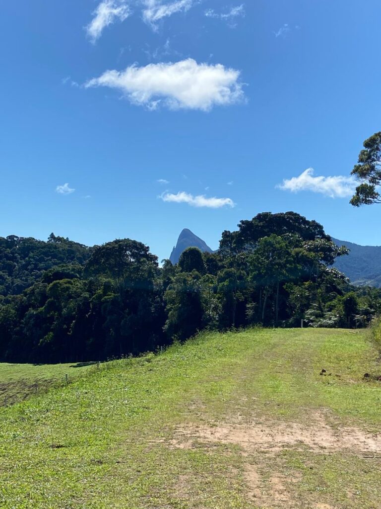 WhatsApp Image 2025-07-05 at 17.13.11